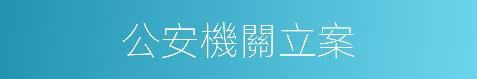 公安機關立案的同義詞