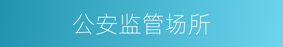 公安监管场所的同义词