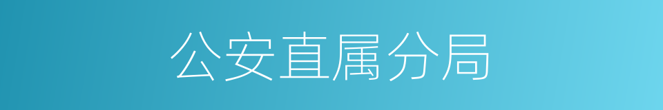 公安直属分局的同义词