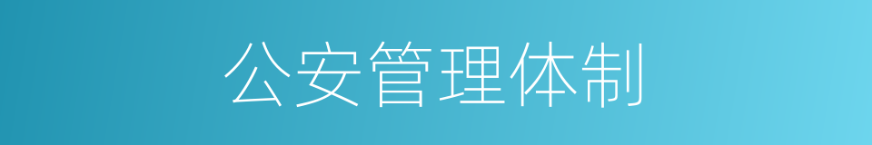 公安管理体制的同义词