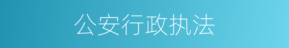 公安行政执法的同义词