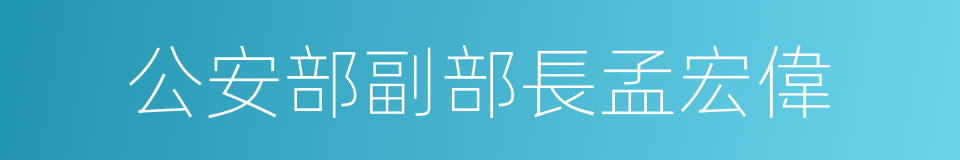 公安部副部長孟宏偉的同義詞