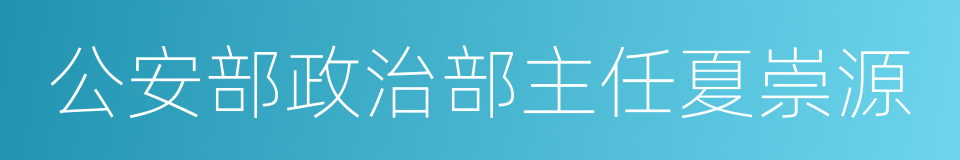 公安部政治部主任夏崇源的同义词