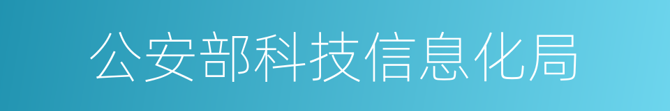 公安部科技信息化局的同义词