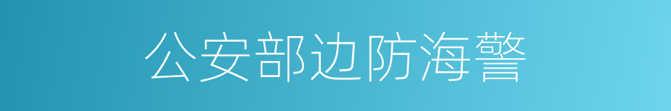 公安部边防海警的同义词