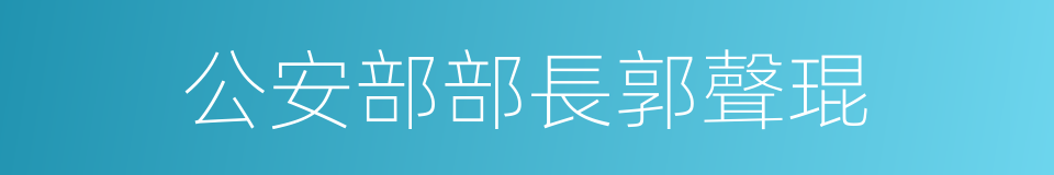 公安部部長郭聲琨的同義詞