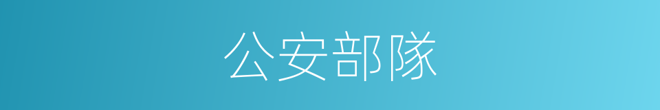 公安部隊的同義詞