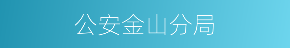 公安金山分局的同义词