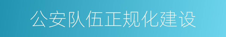 公安队伍正规化建设的同义词