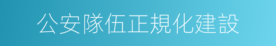 公安隊伍正規化建設的同義詞