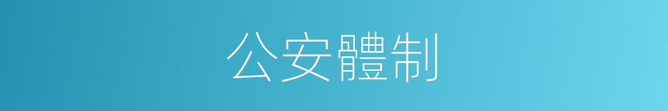 公安體制的同義詞