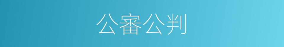 公審公判的同義詞