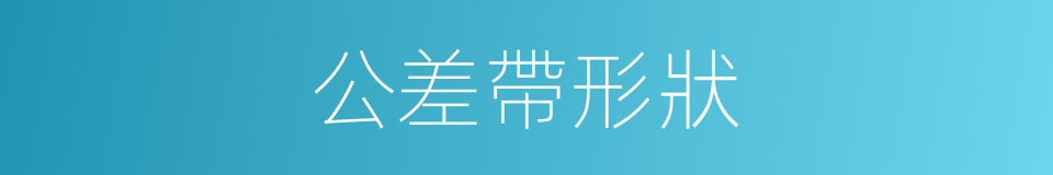 公差帶形狀的同義詞