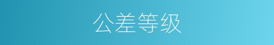 公差等级的意思