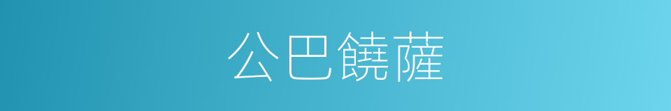 公巴饒薩的同義詞