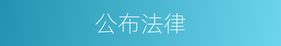 公布法律的同义词