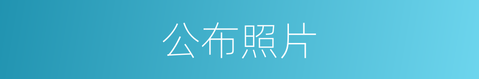 公布照片的同义词