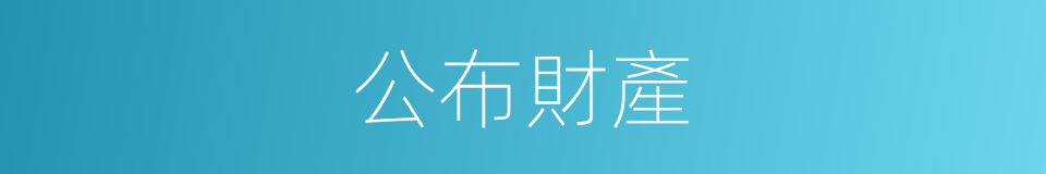 公布財產的同義詞