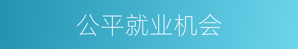 公平就业机会的同义词