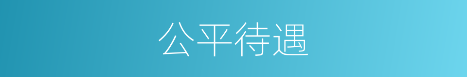 公平待遇的同义词