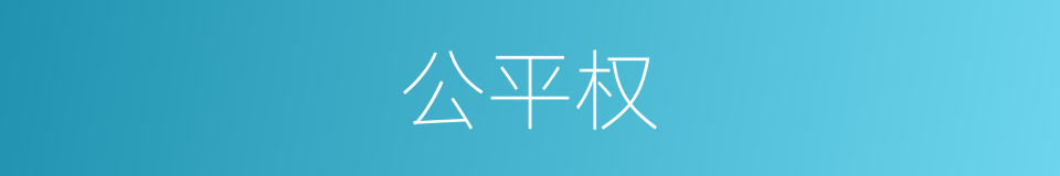 公平权的同义词