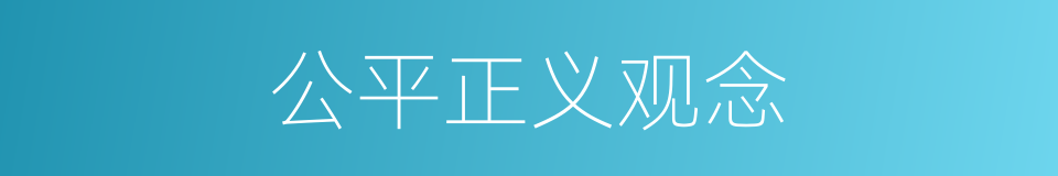 公平正义观念的同义词