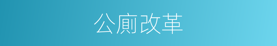 公廁改革的同義詞