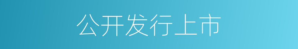 公开发行上市的同义词