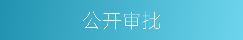 公开审批的同义词