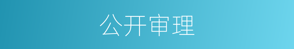 公开审理的意思