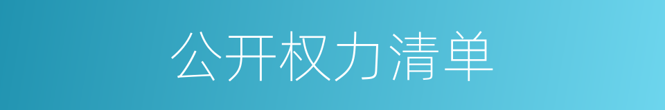 公开权力清单的同义词
