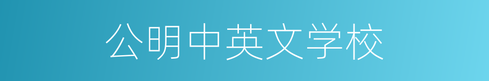 公明中英文学校的同义词