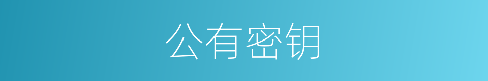 公有密钥的同义词