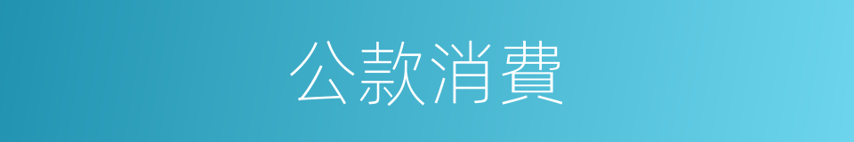 公款消費的同義詞