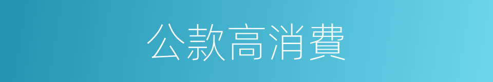 公款高消費的同義詞