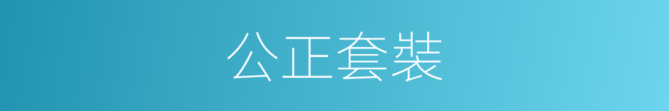 公正套裝的同義詞