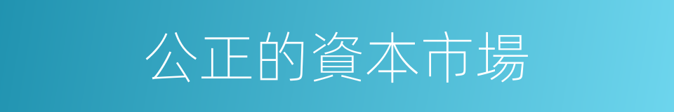 公正的資本市場的同義詞