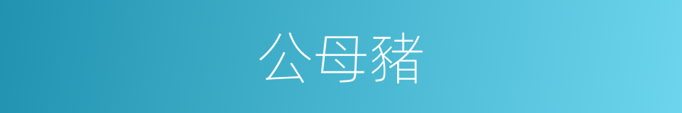 公母豬的同義詞