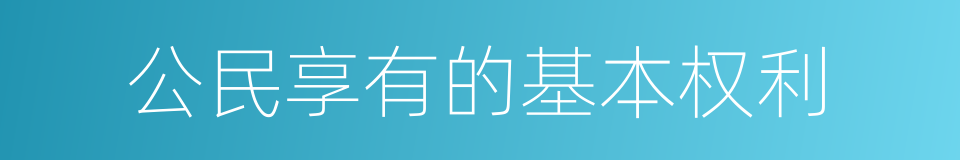 公民享有的基本权利的同义词