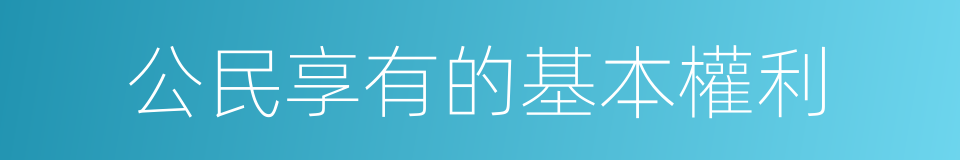 公民享有的基本權利的同義詞