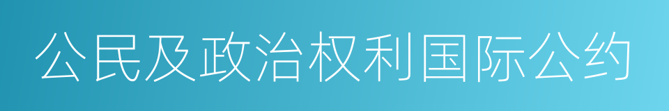 公民及政治权利国际公约的同义词