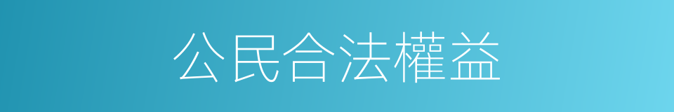 公民合法權益的同義詞