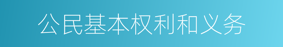 公民基本权利和义务的同义词