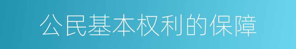 公民基本权利的保障的同义词