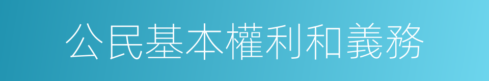 公民基本權利和義務的同義詞