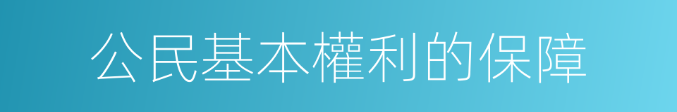 公民基本權利的保障的同義詞