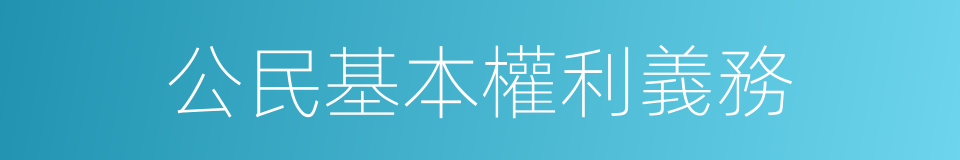 公民基本權利義務的同義詞