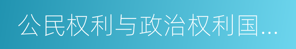 公民权利与政治权利国际公约的同义词