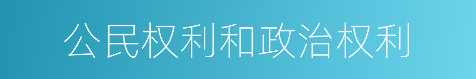 公民权利和政治权利的同义词