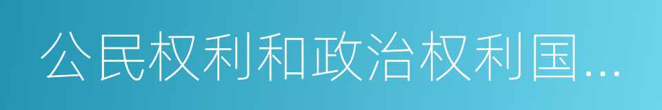 公民权利和政治权利国际公约的同义词